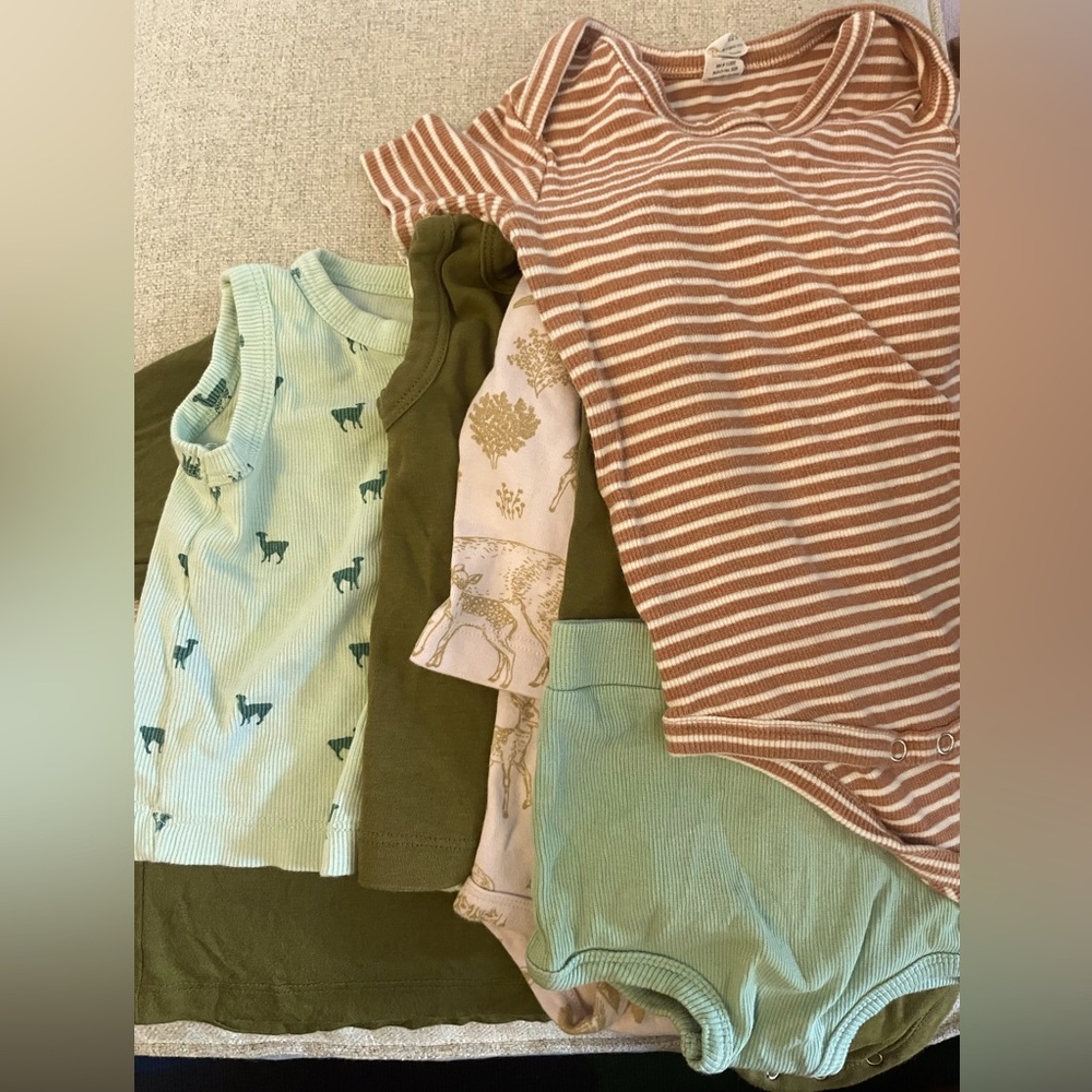 kate quinn 6-12 bundle
